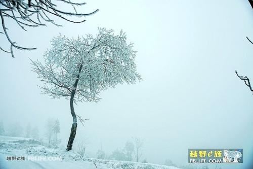 舌尖上的远行 《打一字》