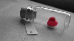 春耕紧《猜一动物名》