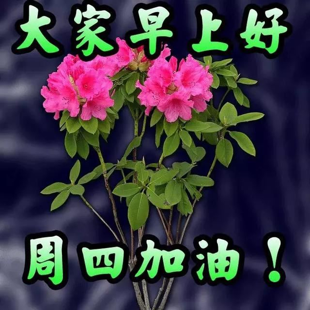 猜谜语题目:牛两头《打一个字》