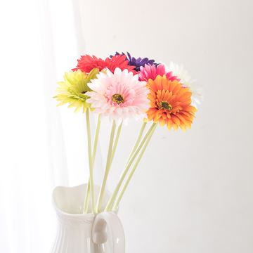 鸣春花鸟及芳时 《打一成语》