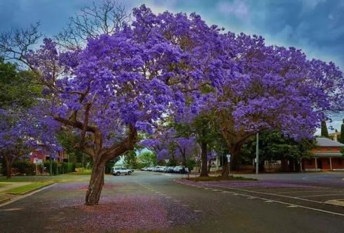 张其义_远眺近望_高瞻低瞰_意欲细察留观；释其声_ 《字谜》