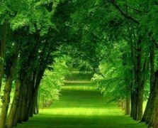 登上天门闻鹊声　《猜12笔字》