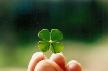 送走观音使不得《打一字》