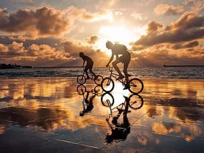 令　《猜珍稀动物》