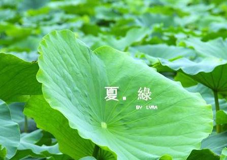 身体扁又圆_爱住黑房间_有光看不见_人睡来捣乱-　《猜昆虫一》