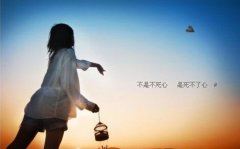 竹尺长度超标准 《多字成语》
