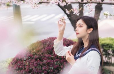 景泰蓝嵌万寿菊 《打一成语》