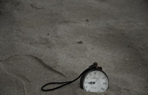 一番痴情空痴情_怕伤心、恰伤心 《花卉》