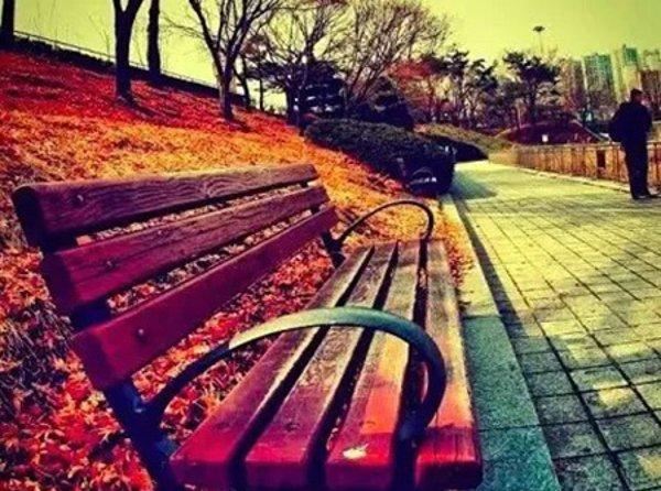 先生半推半就 《字一》