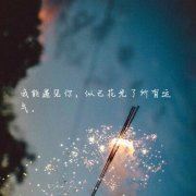每见师行处_墙壁所不能隔_但得此法足矣 《打一成语》