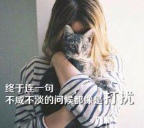 佶 《打一成语》