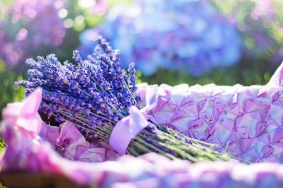 低开高走　《猜5笔字》