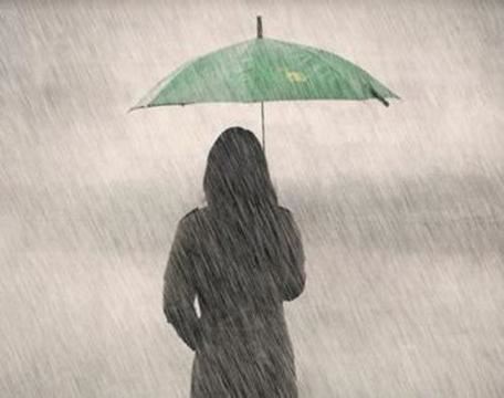 愿与宪之共戮力 《数学用语_卷帘格》