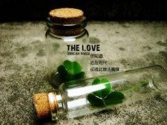 此字不奇怪,芬芳又自在,七人头上草,大家都喜爱《打一个字》