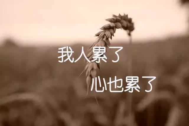 女为悦己者容 《打一成语》