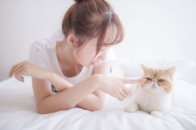 猜谜语题目:占了李振贵的椅子《打一个四字刑罚》
