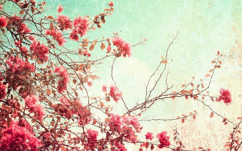 挟皇后叛乱 《电视栏目》