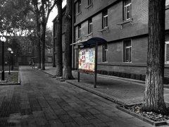 沟里走,沟里串,背了针,忘了线《打一个动物》