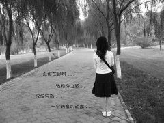 三方联合来部署　《猜8笔字》