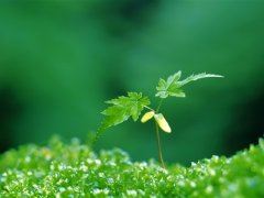 酒干淌卖无 《打一成语》