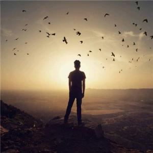 是鸡不长毛,是牛不耕田,是猫不捕鼠,是虎不上山《打四种动物》