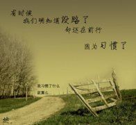 芳心错许头飞白　《猜8笔字》