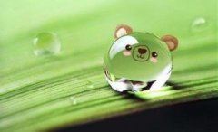 “小雨沙沙沙”　《猜江苏地名》