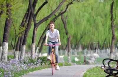 杜鹃空对残月啼 《打一成语》