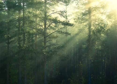 代号"东方红" 《七唐》
