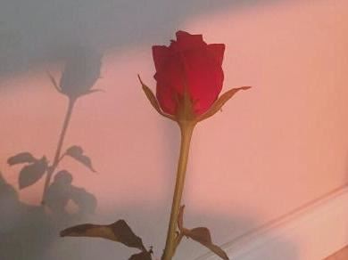 有关六一儿童节的谜语