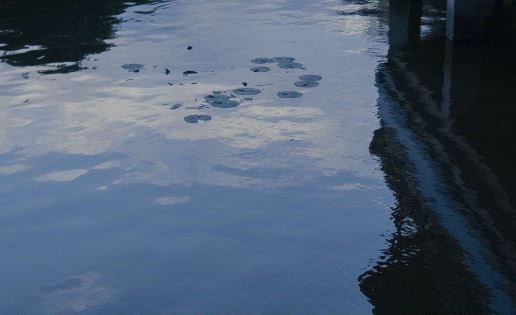重天下之奇 《打一成语》