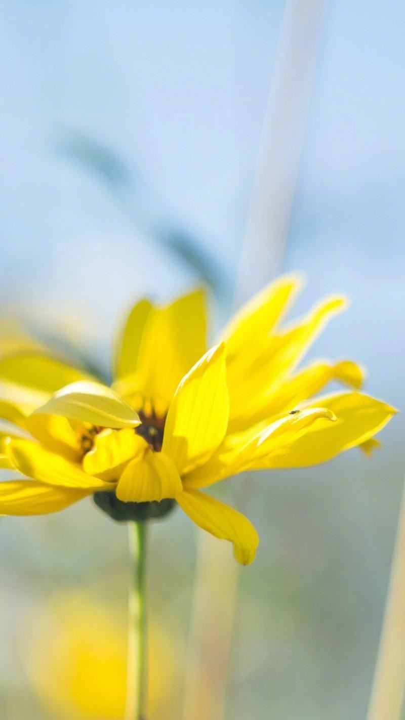 下刀总是不偏倚　《猜4字口语》