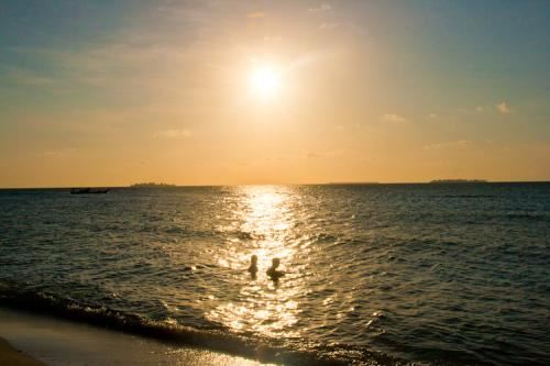 见到靓妹未离开　《猜11笔字》