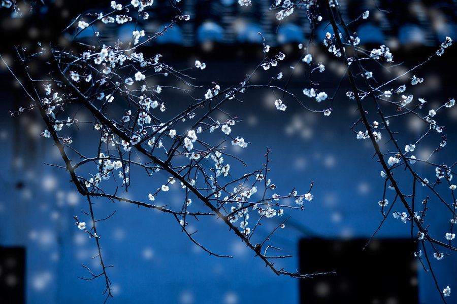 “断墙著雨蜗成字” 《浙江名胜》