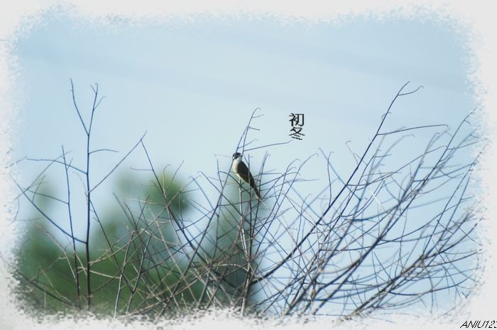借口有恙步姗姗 《打一成语》