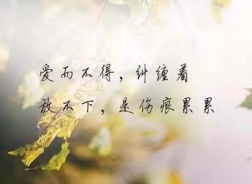 复婚再到四川来 《打一成语》
