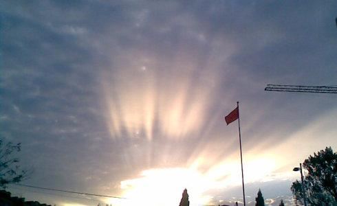 不难分解·徐妃格《猜一动物名》