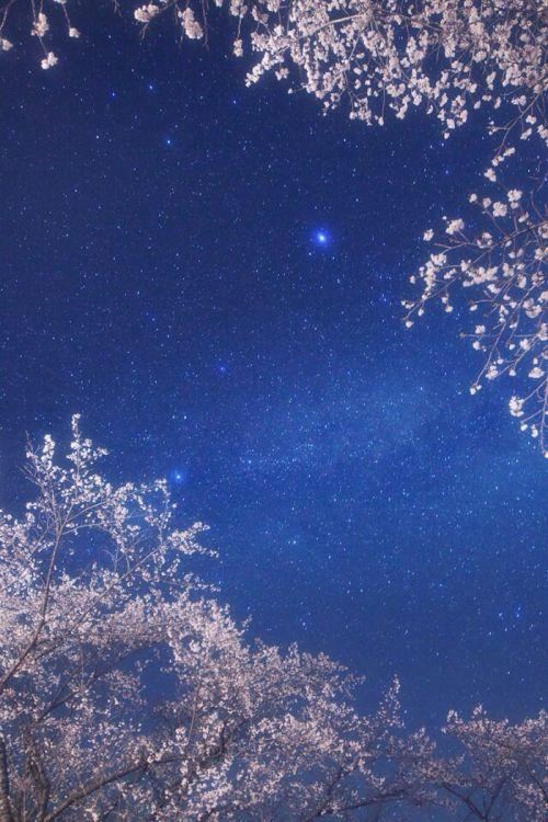 自吹、自夸、自诩 《多字成语》