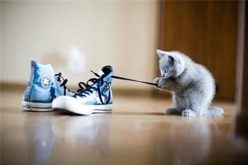 一席之争《猜一数学词语》