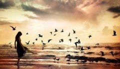 永久牌新产品 《打一成语》