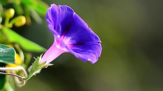 猜谜语题目:假眼《打一个成语》