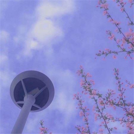 封姨过处舞姿轻　《猜成语》