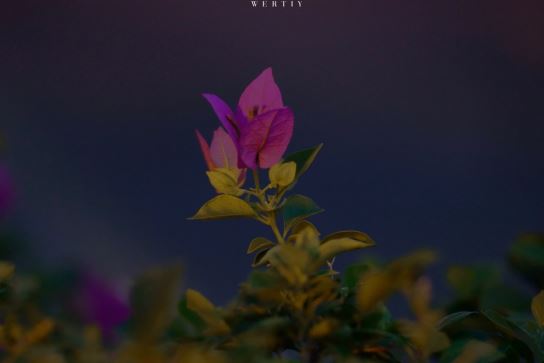 移灯近前续残章 《节气》