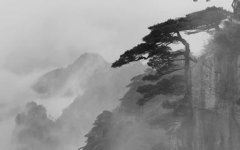 前程来相伴_日日两心同 《打一成语》