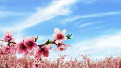 屡次粗心为情谊　《猜会议文稿用语一》