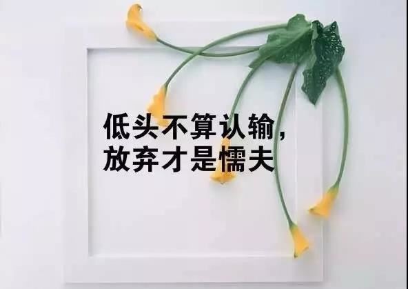 猜谜语题目:玄德请人到庄《打一个2字古礼仪用语》
