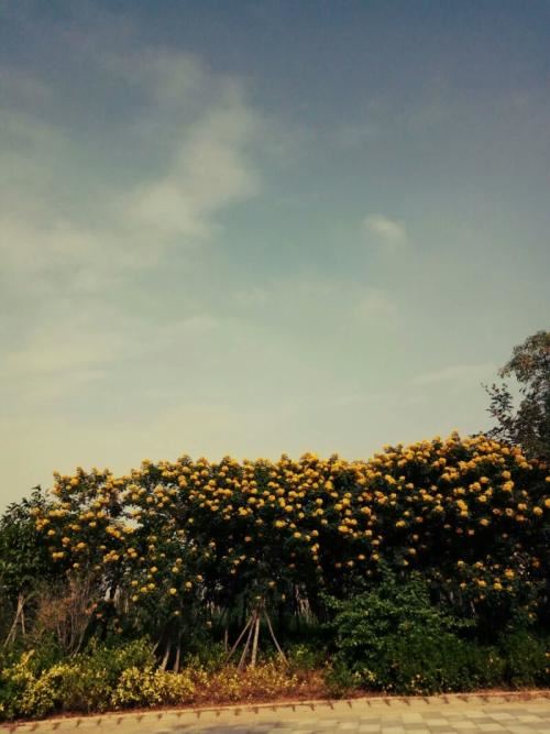 姚明_请稍候 《打四字口语》