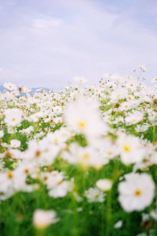 独率人马北上　《猜少笔字》