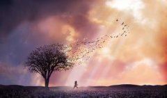 猜谜语题目:按纳唯中央《打一个谦辞礼貌用语》