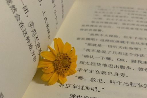 考考哥儿俩 《打一成语》